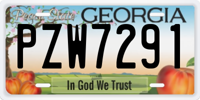 GA license plate PZW7291