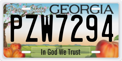 GA license plate PZW7294
