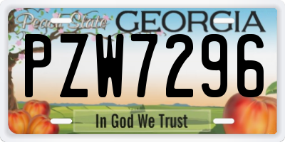 GA license plate PZW7296