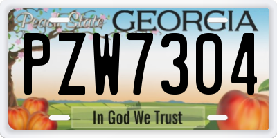 GA license plate PZW7304