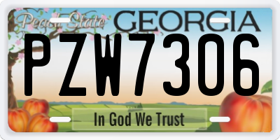 GA license plate PZW7306