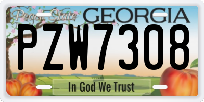 GA license plate PZW7308