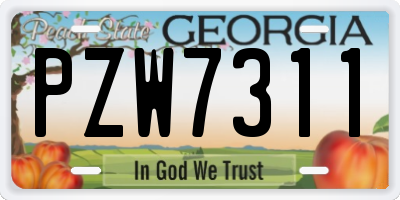 GA license plate PZW7311