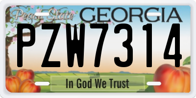 GA license plate PZW7314