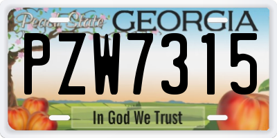 GA license plate PZW7315