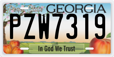 GA license plate PZW7319