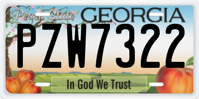 GA license plate PZW7322