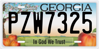 GA license plate PZW7325