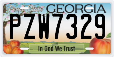 GA license plate PZW7329