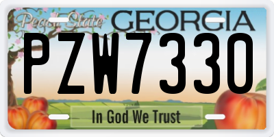 GA license plate PZW7330