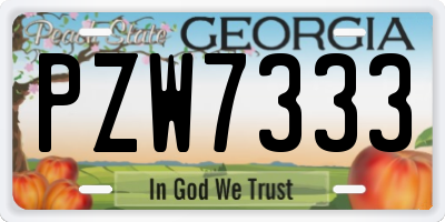 GA license plate PZW7333