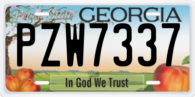 GA license plate PZW7337