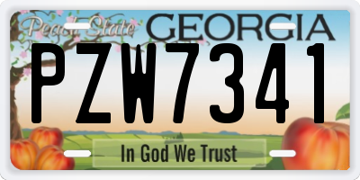 GA license plate PZW7341
