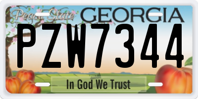 GA license plate PZW7344