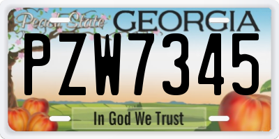 GA license plate PZW7345