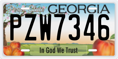 GA license plate PZW7346