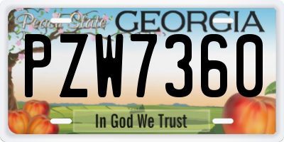 GA license plate PZW7360
