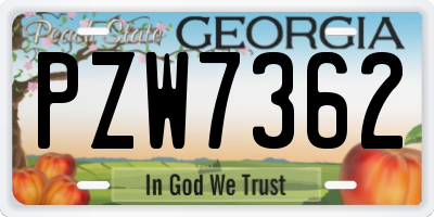 GA license plate PZW7362
