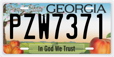 GA license plate PZW7371