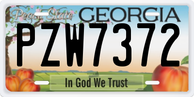 GA license plate PZW7372