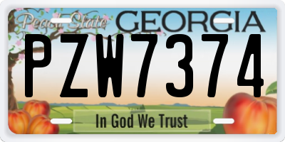 GA license plate PZW7374