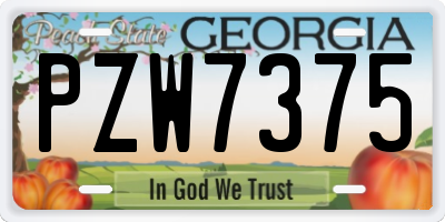 GA license plate PZW7375