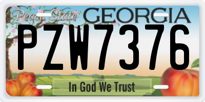 GA license plate PZW7376