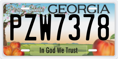 GA license plate PZW7378