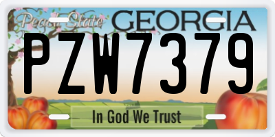GA license plate PZW7379
