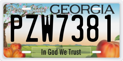 GA license plate PZW7381