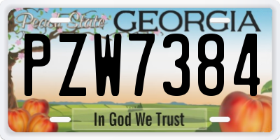 GA license plate PZW7384