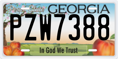 GA license plate PZW7388