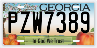 GA license plate PZW7389