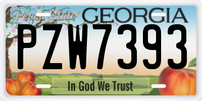 GA license plate PZW7393
