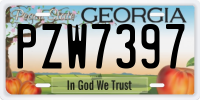 GA license plate PZW7397