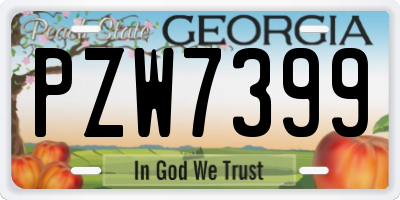 GA license plate PZW7399