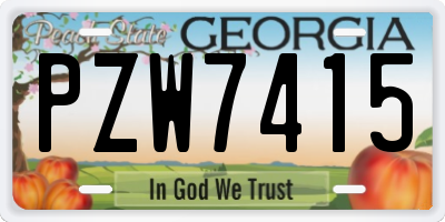GA license plate PZW7415