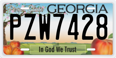 GA license plate PZW7428