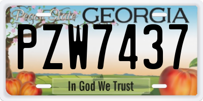 GA license plate PZW7437