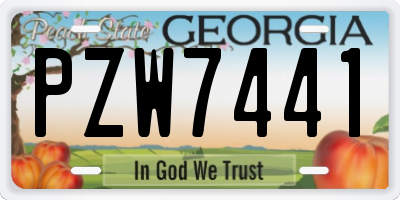 GA license plate PZW7441