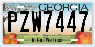 GA license plate PZW7447