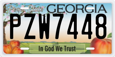 GA license plate PZW7448