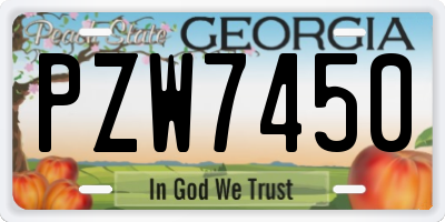 GA license plate PZW7450