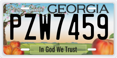 GA license plate PZW7459