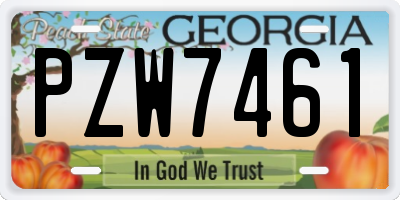 GA license plate PZW7461