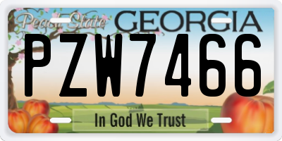 GA license plate PZW7466