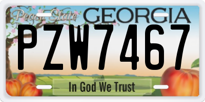 GA license plate PZW7467