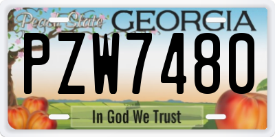GA license plate PZW7480
