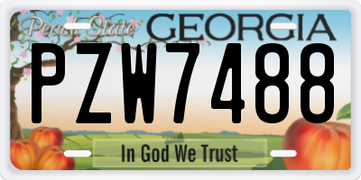 GA license plate PZW7488