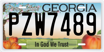 GA license plate PZW7489